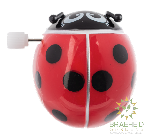 Wind Up Ladybugs