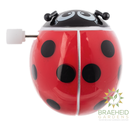 Wind Up Ladybugs