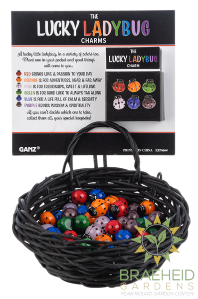 Lucky Ladybug Charms in a Basket