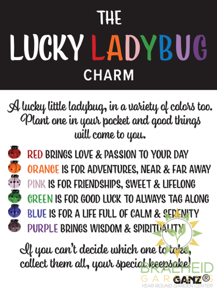 Lucky Ladybug Charms in a Basket
