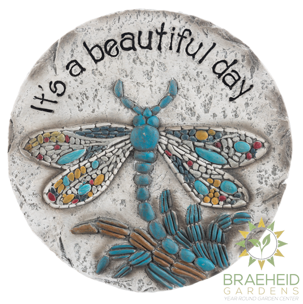 Dragonfly Stepping Stone - It's a beautiful day