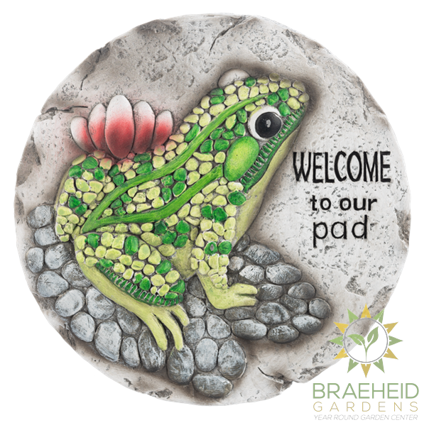 Frog Stepping Stone - Welcome to our pad