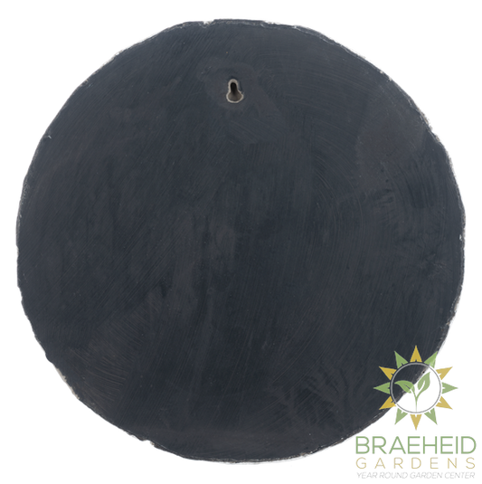 Frog Stepping Stone - Welcome to our pad