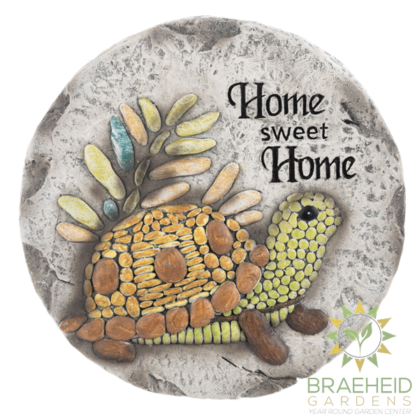 Tortoise Stepping Stone - Home sweet home