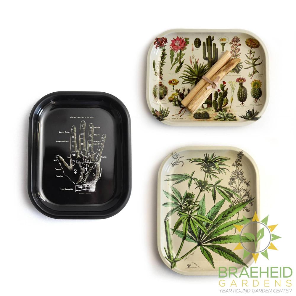 Small Metal Black Mushroom Ritual Tray / Rolling Tray