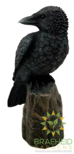 Raven Halloween Decoration C/24