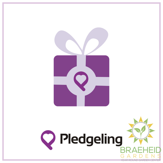 Donation to One Tree Planted