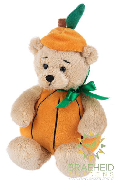 Pumpkin Wee Bears