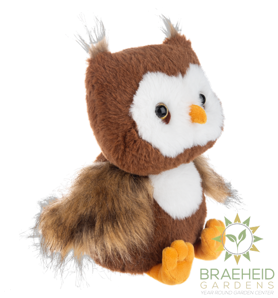Autumn Hoot Owl