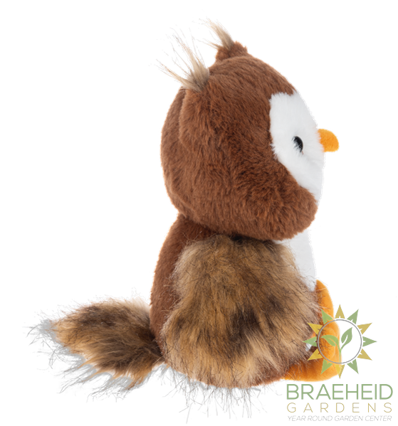 Autumn Hoot Owl