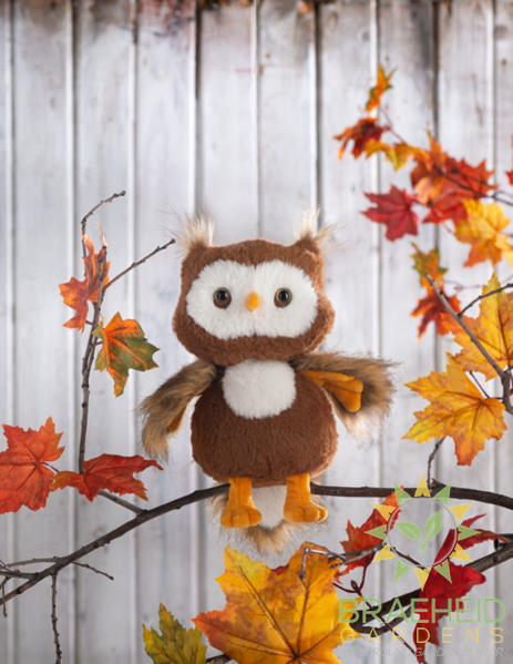 Autumn Hoot Owl