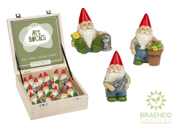 Gnome Art Rock