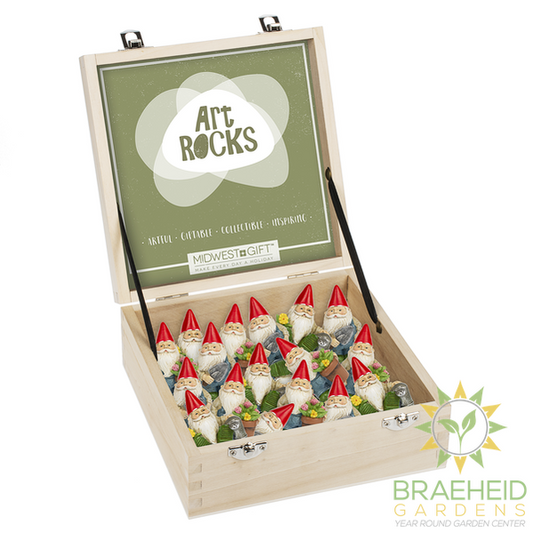 Gnome Art Rock