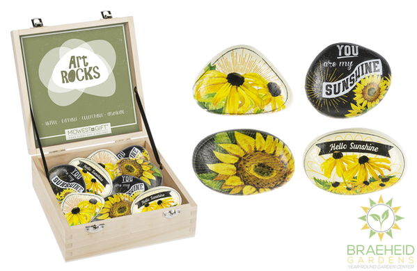 Sunflower Art Rock