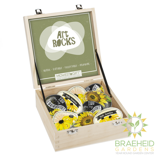 Sunflower Art Rock