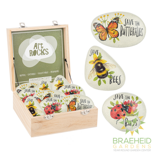 Bug w/Message Art Rock