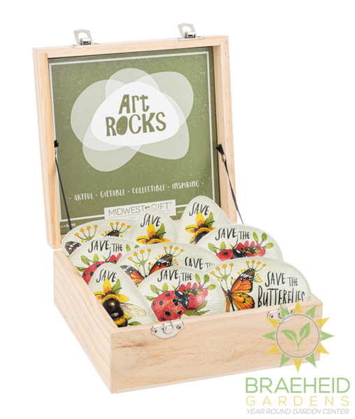 Bug w/Message Art Rock