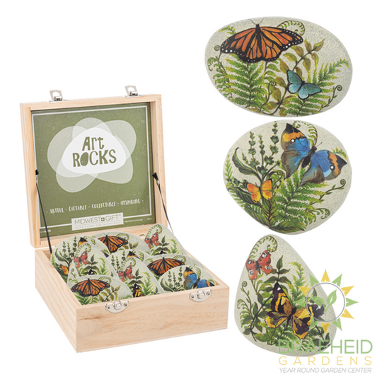Butterfly Art Rock