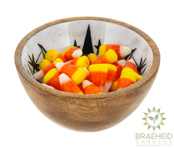 Halloween Icon Bowls