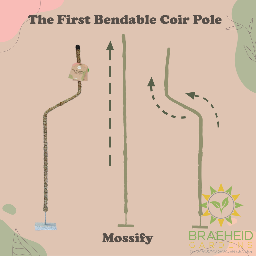 The Original Bendable Coir Pole⢠- Best Seller (Tape Included)