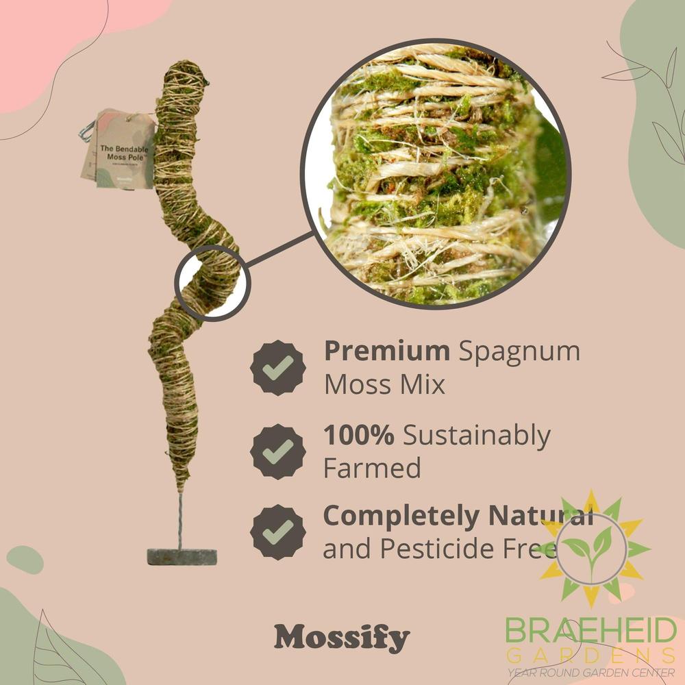 The Original Bendable Moss Pole⢠- Best Seller (Pins Included)