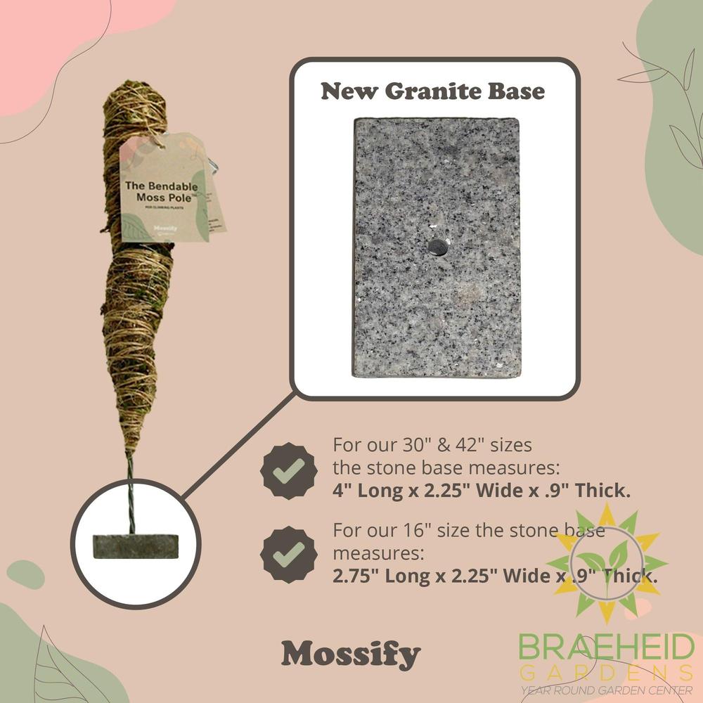The Original Bendable Moss Pole⢠- Best Seller (Pins Included)