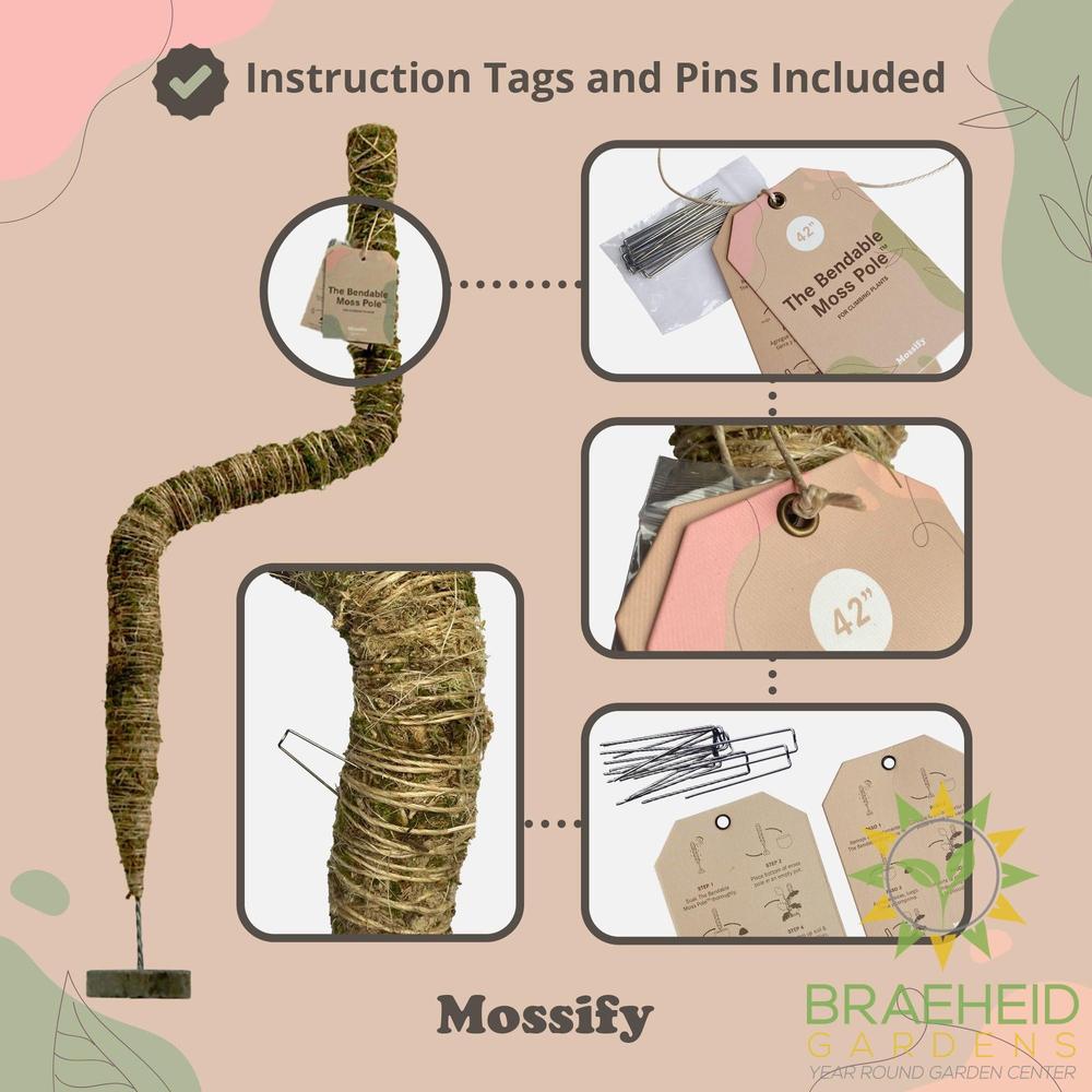 The Original Bendable Moss Pole⢠- Best Seller (Pins Included)
