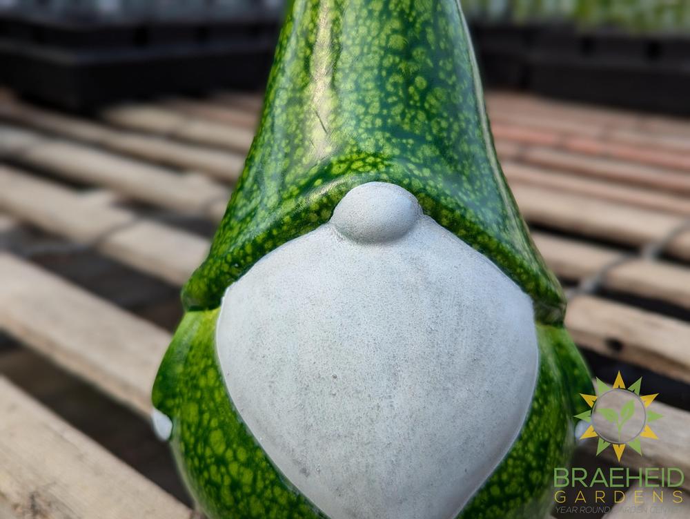 Mushroom Gnome