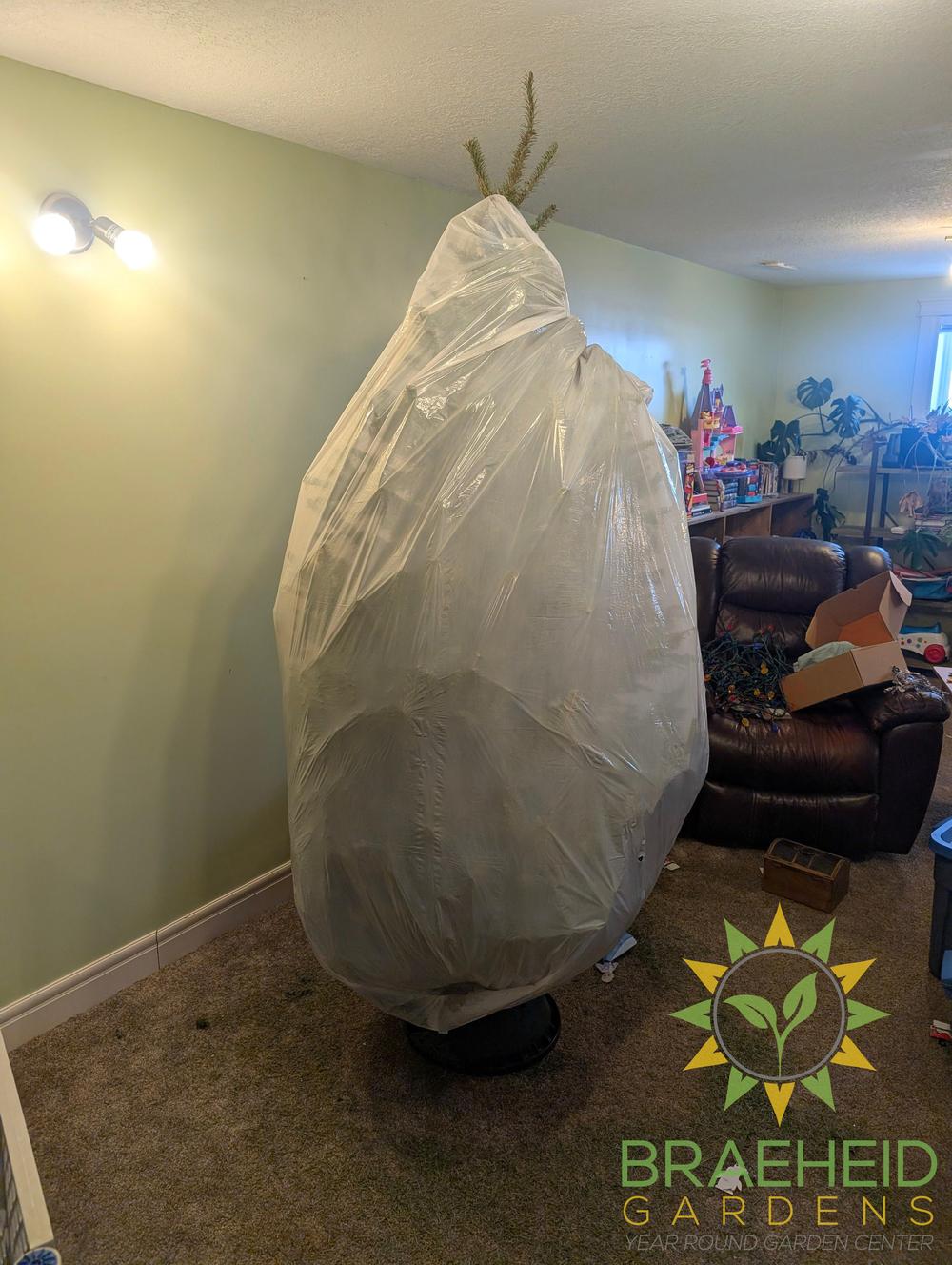 Tree bag