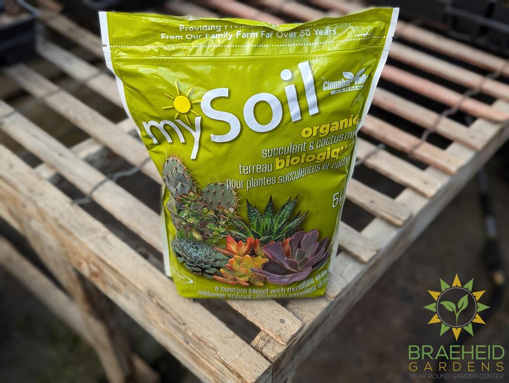 Organic Succulent & Cactus Mix mySoil