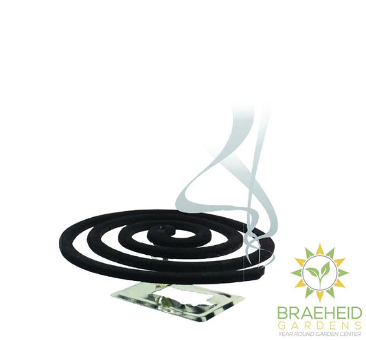Mosquito Shield Coil Box 135g