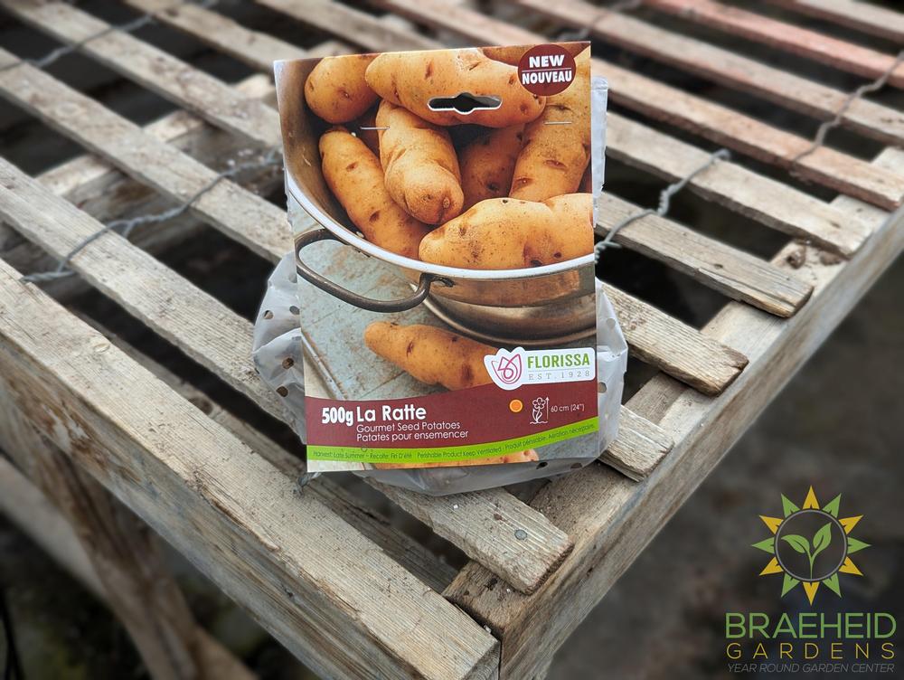 Gourmet La Ratte Potatoes