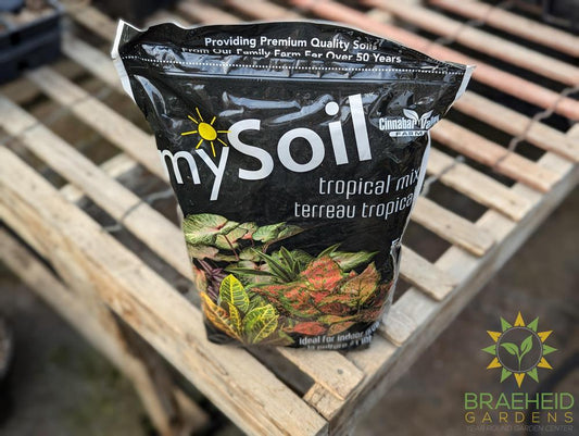 Tropical Mix mySoil