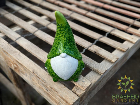 Mushroom Gnome