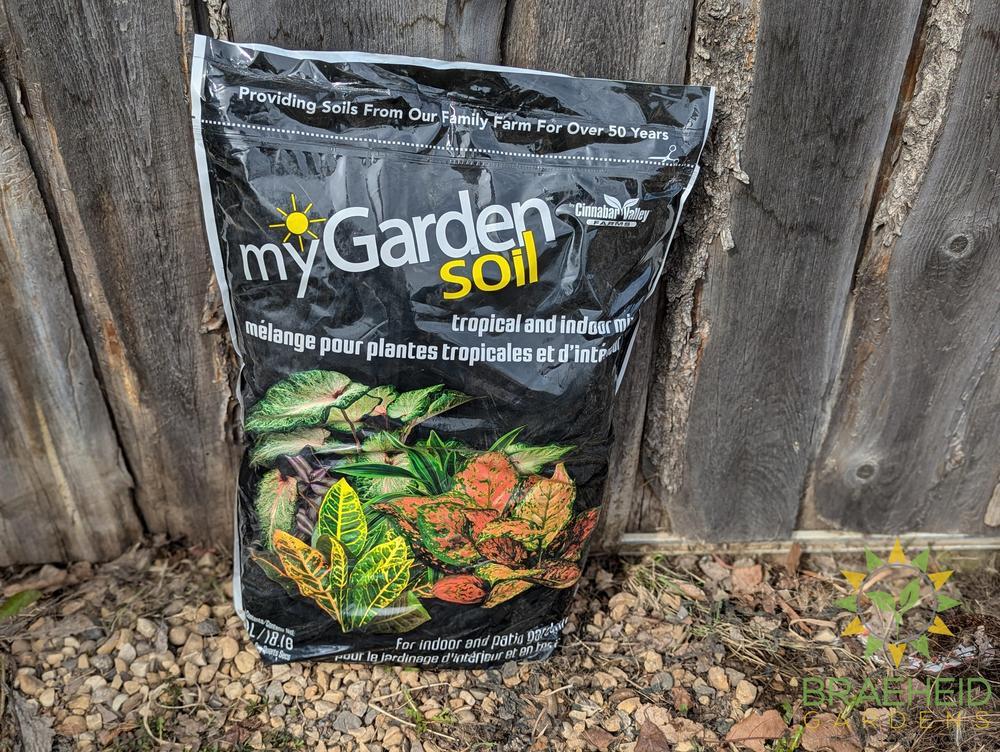 Tropical & Indoor Mix myGarden