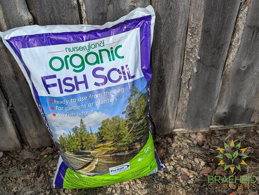 Fish Soil Nurseryland