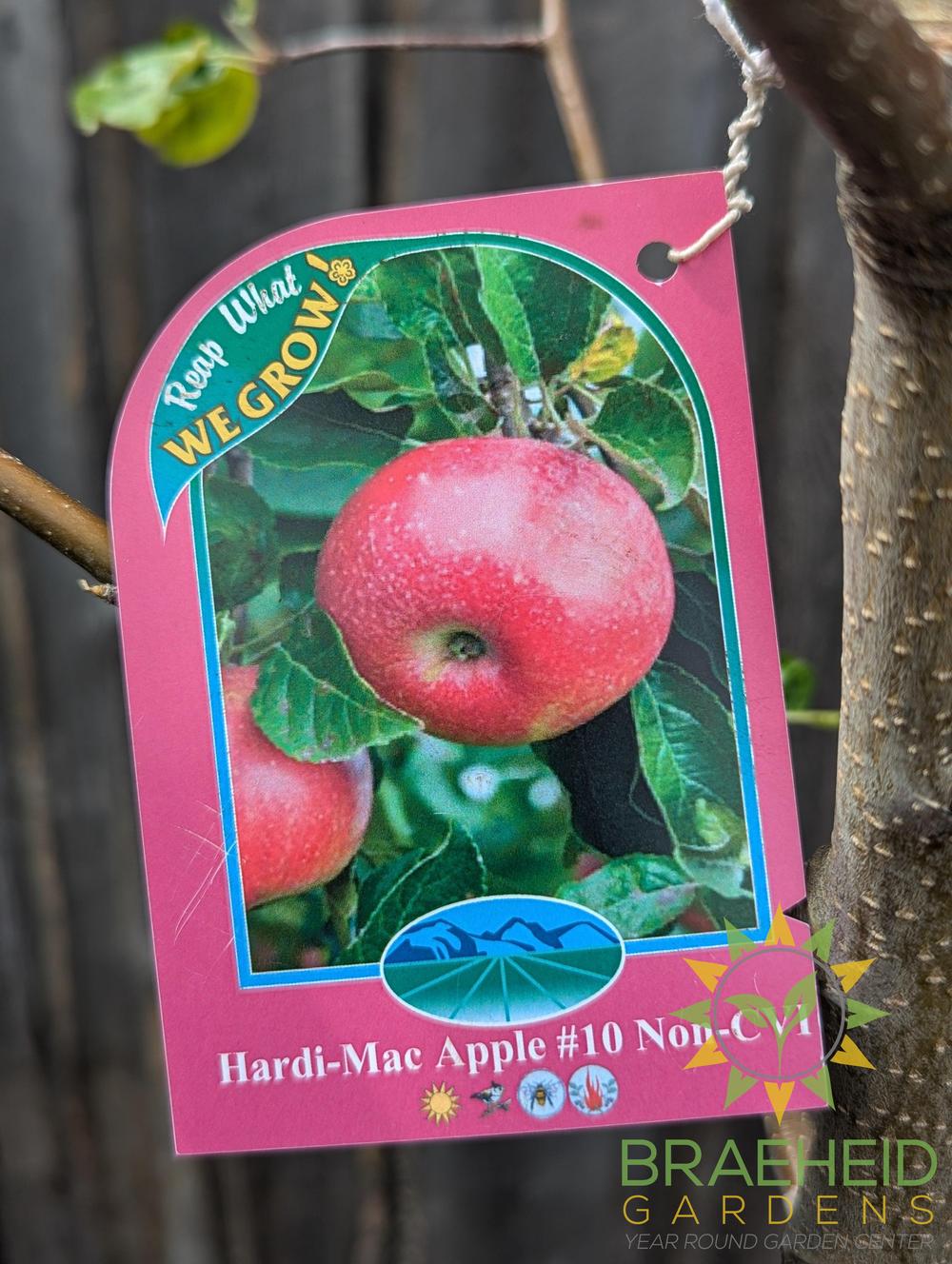 Hardi-Mac Apple