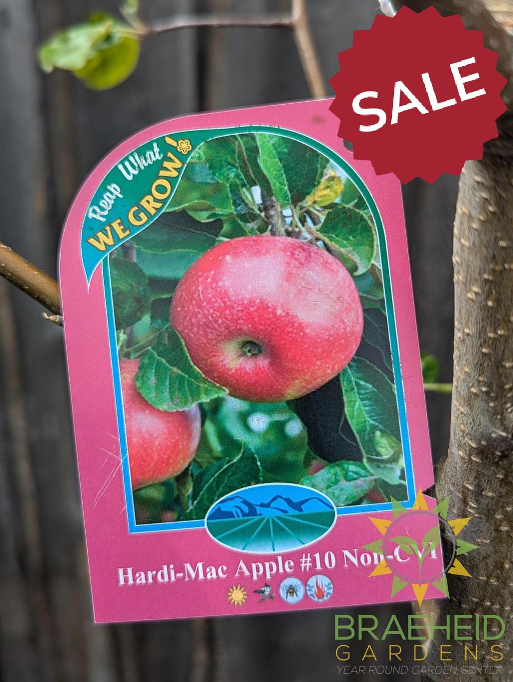 Hardi-Mac Apple