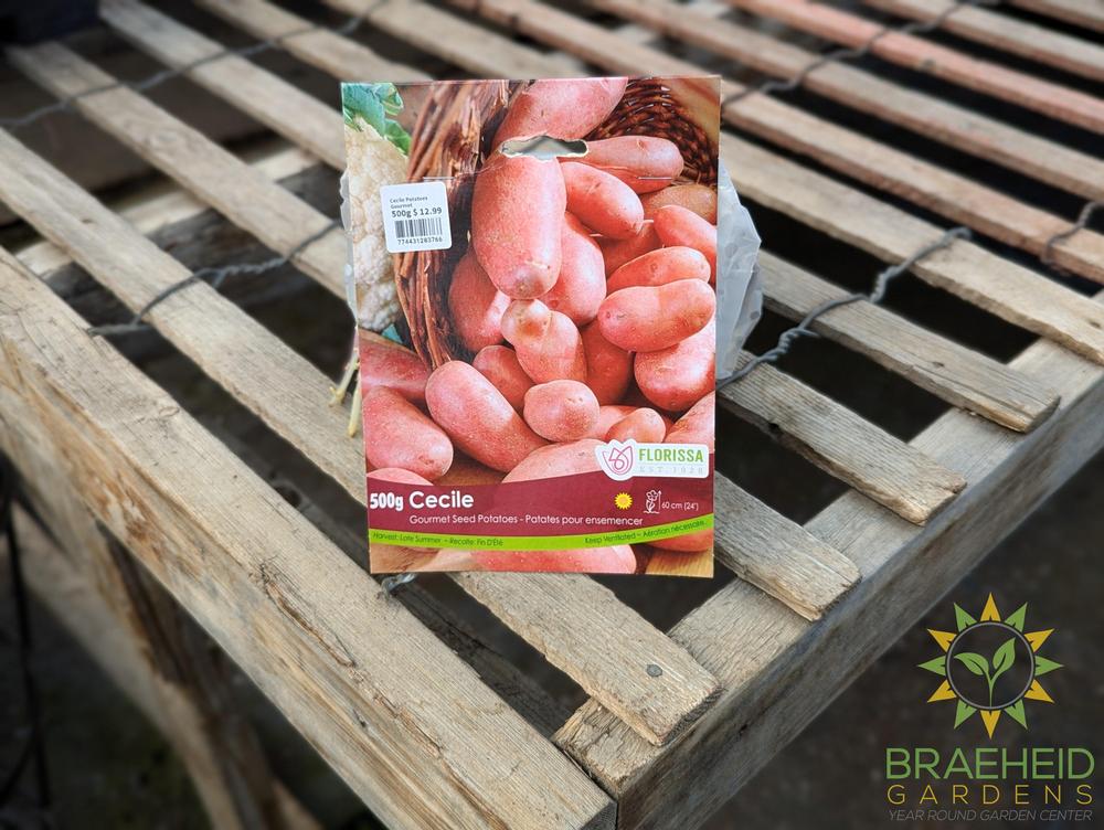 Cecile Potatoes Gourmet