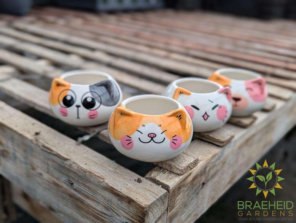 Ceramic Animal Pot