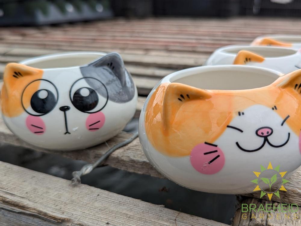 Ceramic Animal Pot