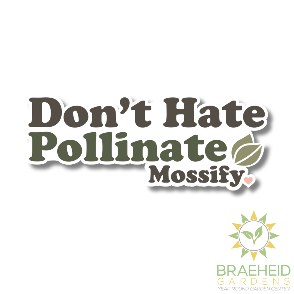 Mossify Stickers