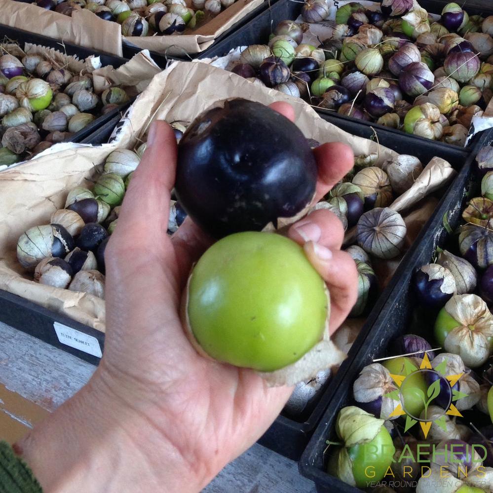Tomatillo Mix