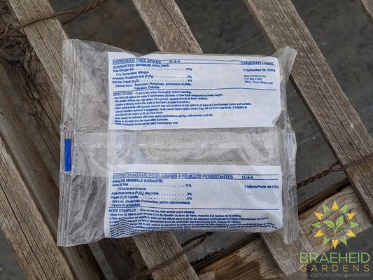 Jobes Evergreen Spike