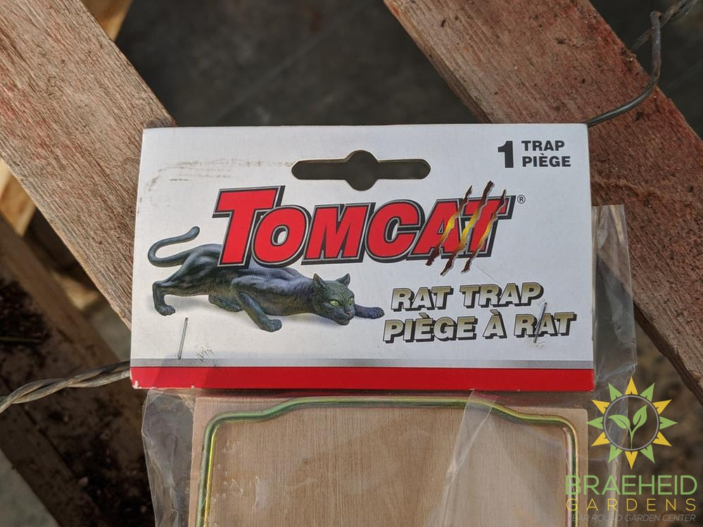 TomCat Rat Trap