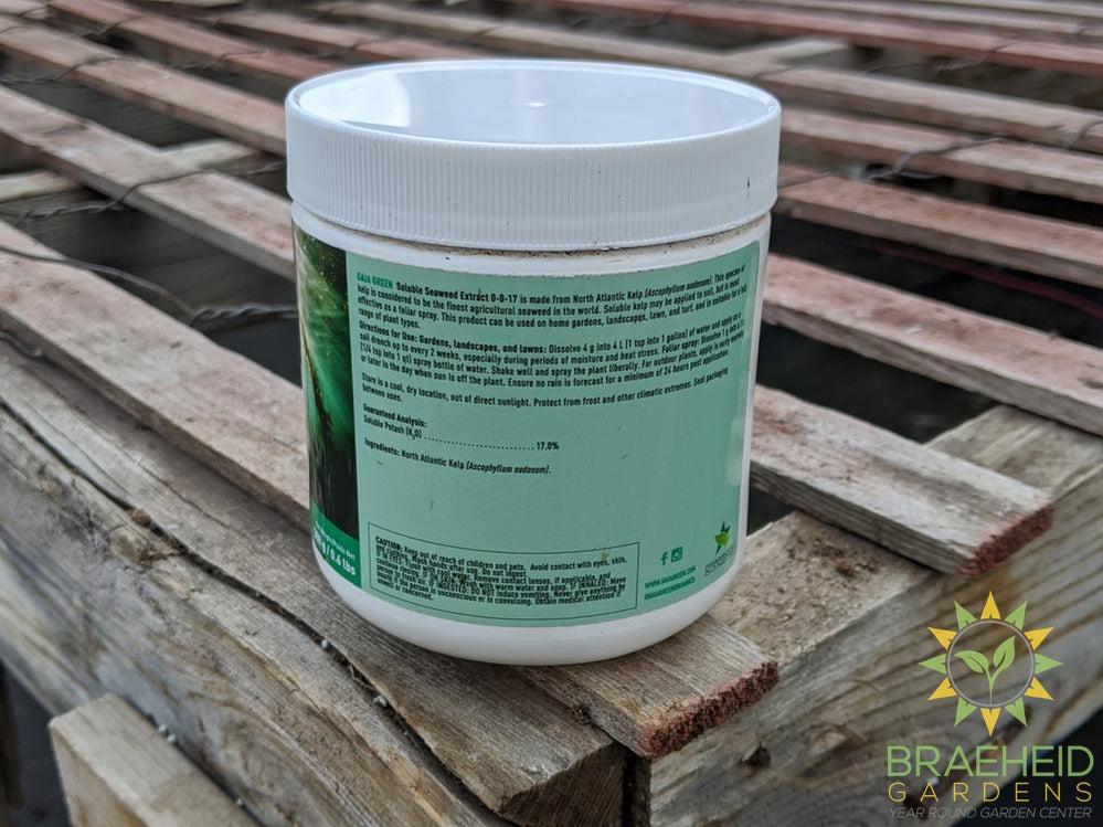 Gaia Green Soluble Seaweed Extract