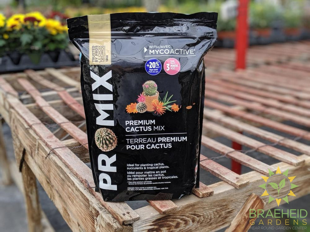 pro mix cactus soil Shop Pro-Mix Cactus Mix online. African Violet, Tropical, Cactus – Braeheid Gardens Ltd