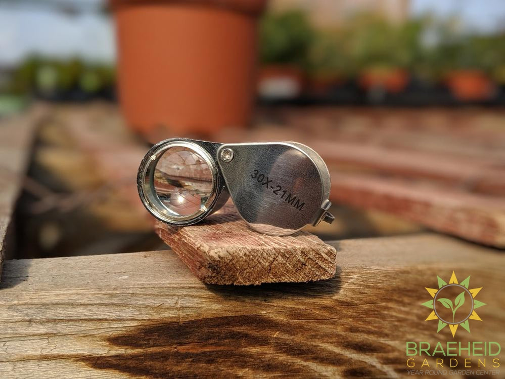 Pest Magnifying Loupe