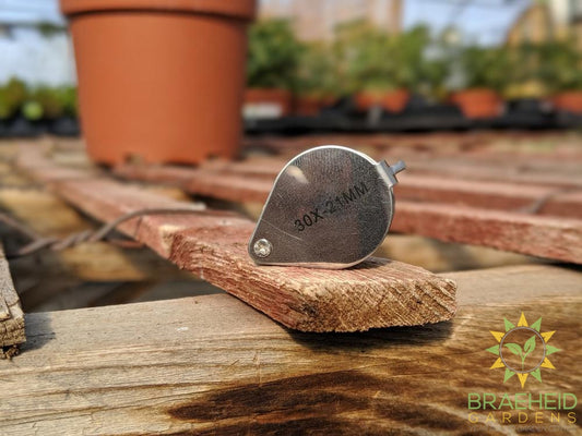 Pest Magnifying Loupe