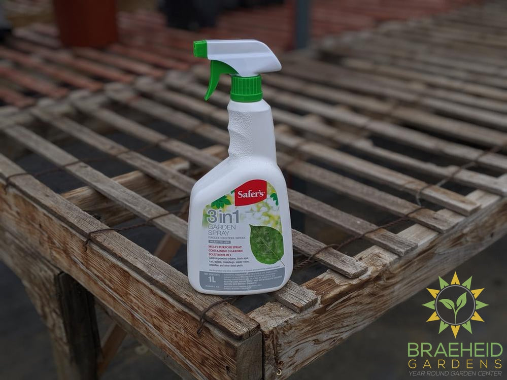 safer 3-1 garden spray Safer's 3 in 1 Spray – Braeheid Gardens Ltd